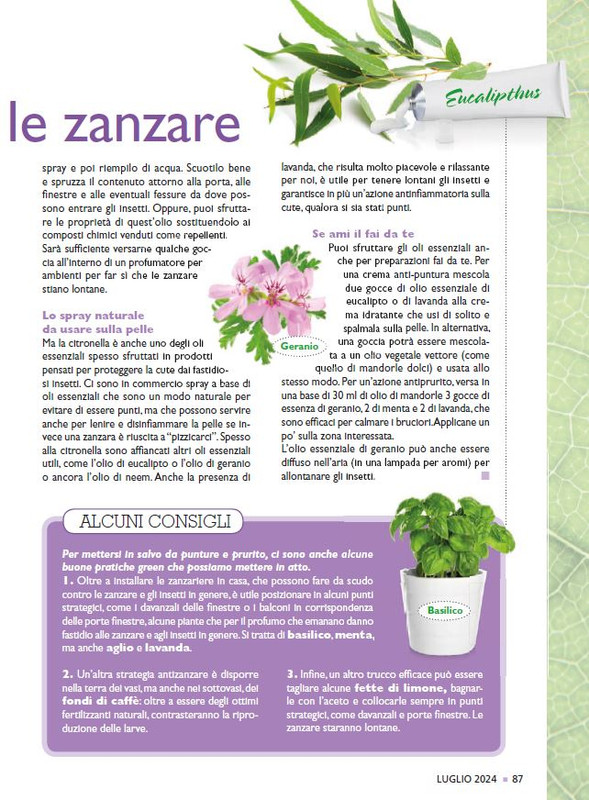 Sal Nat  Lug 2024 (12)