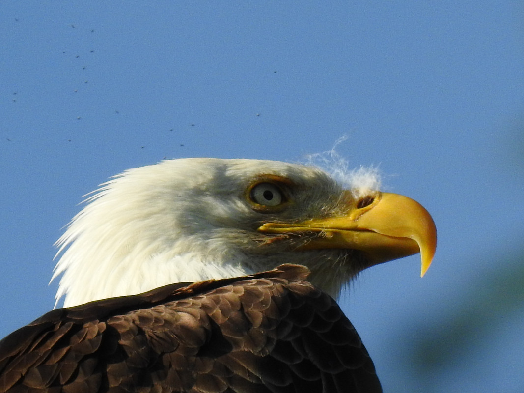 2356696E-8FD9-419B-B2D2-C9B17C30A439