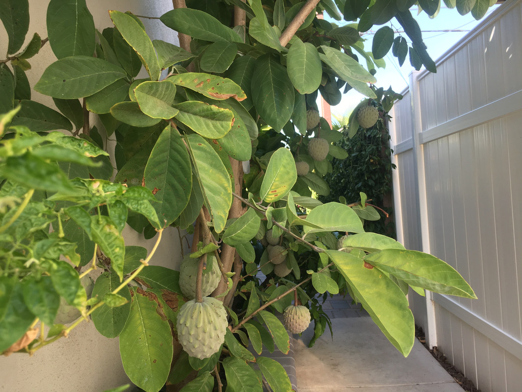 37403A16-F8A5-4A57-B468-58EC7CD97834