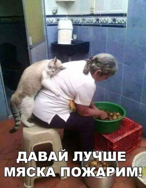 https://i.postimg.cc/5NYnRScC/UID704992-1639671330-97.jpg