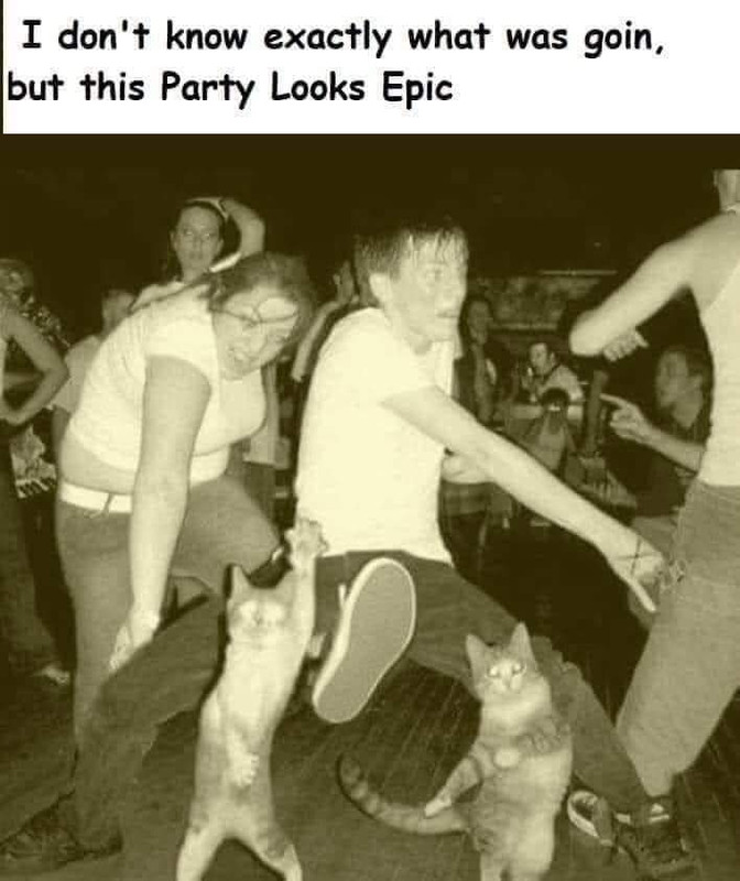 [Image: Party.jpg]