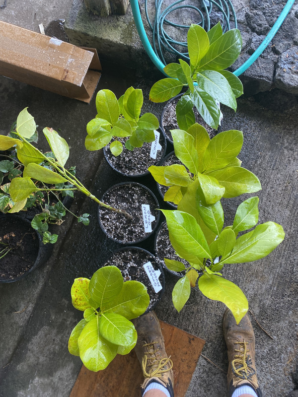 31BFBC46-AEB3-4A40-9D38-24E0687EEF7D