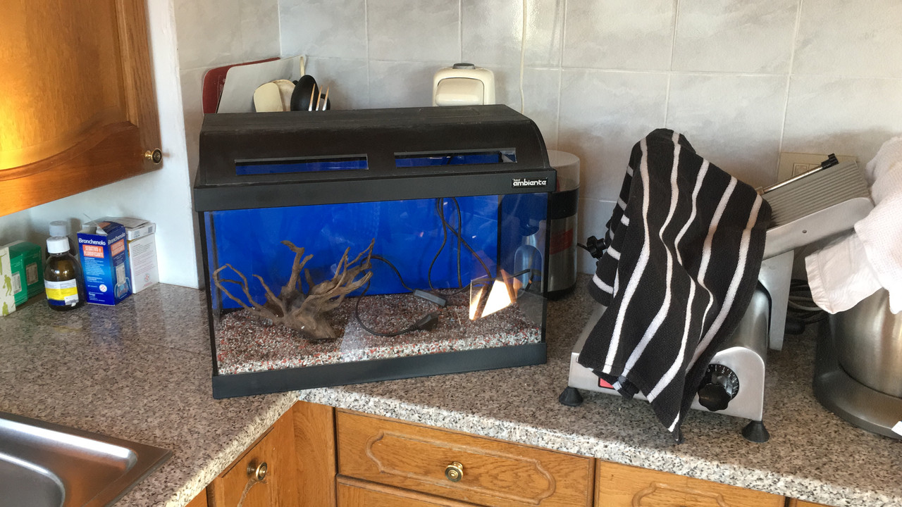 96DF102F-F093-4EE4-950A-CA0767771E7E