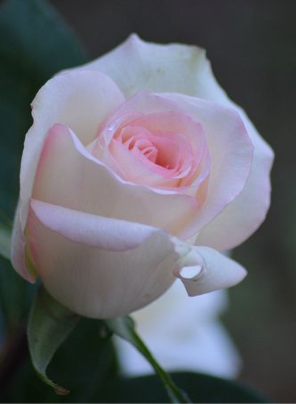 IMG_٢٠٢١٠٦٠٥_٢٣٤٨٢٢