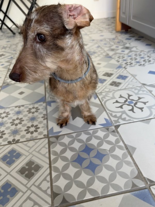 [Image: IMG-0160.jpg]