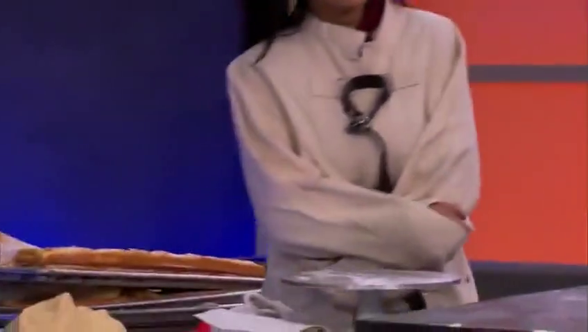 Cake Boss Next Great Baker (6)