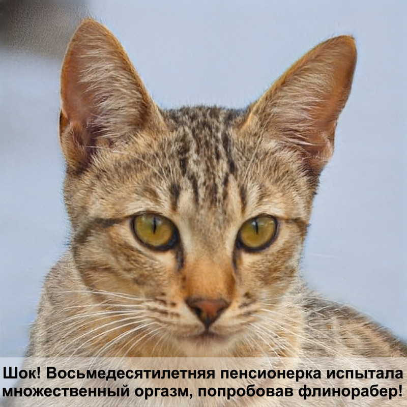 кошку тошнит шерстью