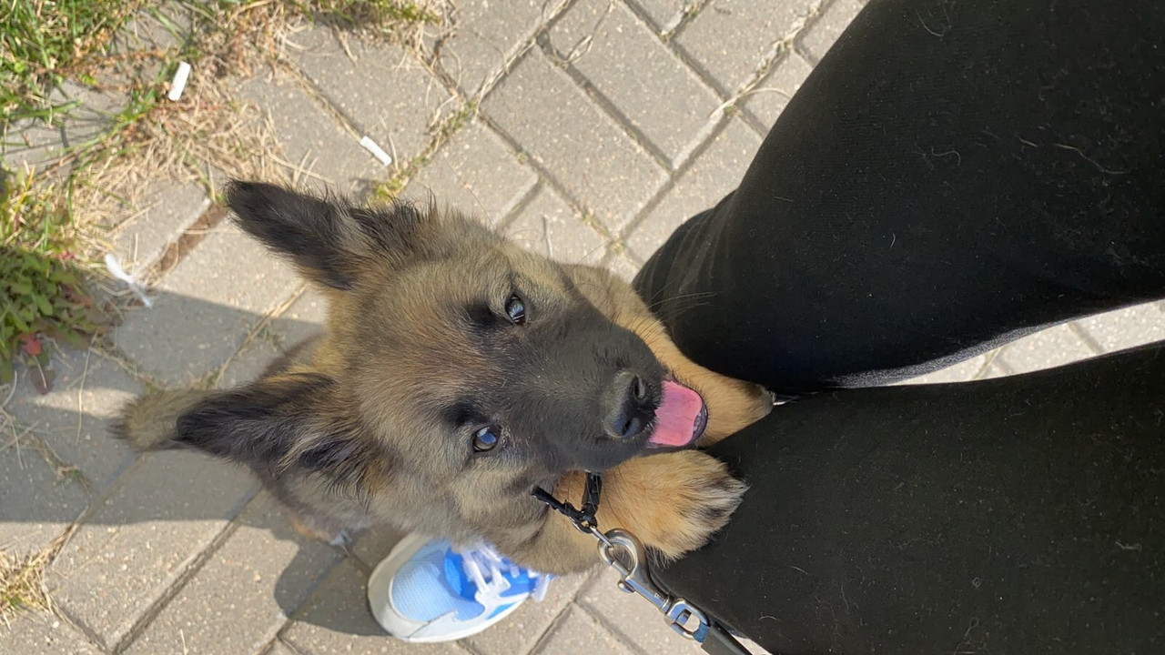 A85D4196-99CA-4B21-800F-8DAFDE91C1D8