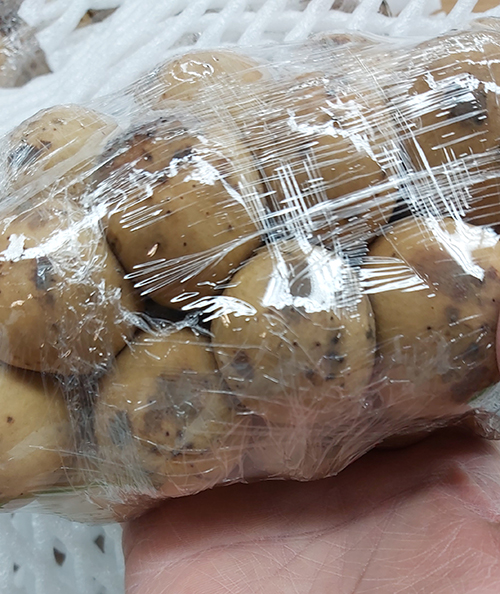 [Image: 20200817-161245.jpg]