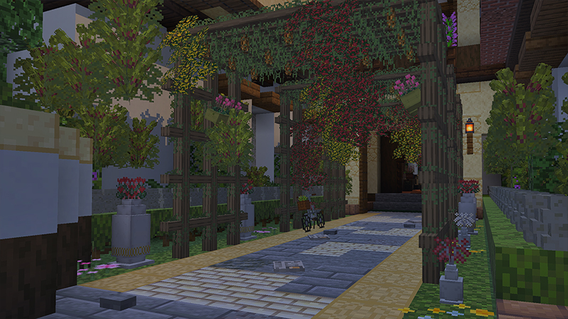 Image 5
