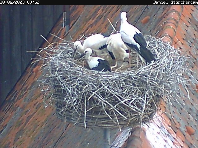 webcam_640