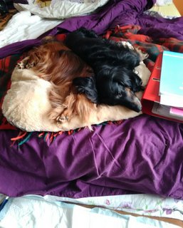 [Image: 20210312-124343.jpg]