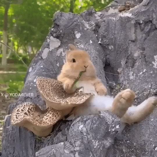 ezgif-3b8449faed300703.gif
