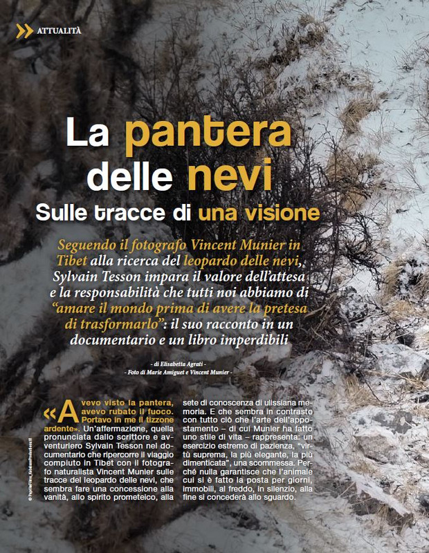 Argos Dic 2022-Gen 2023 (1)