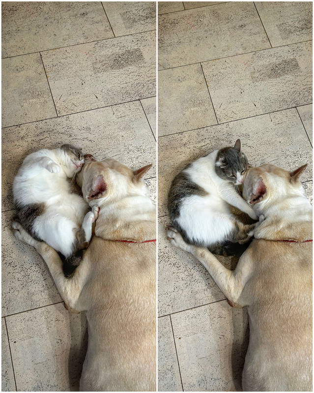 406AB262-6520-4E93-AFB9-A07A8D0448E5