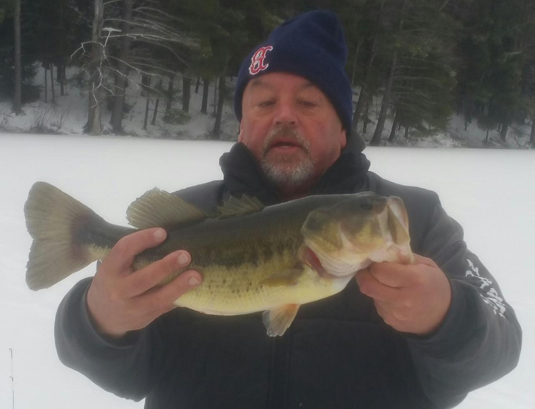 2018-03-25 3.75 LB