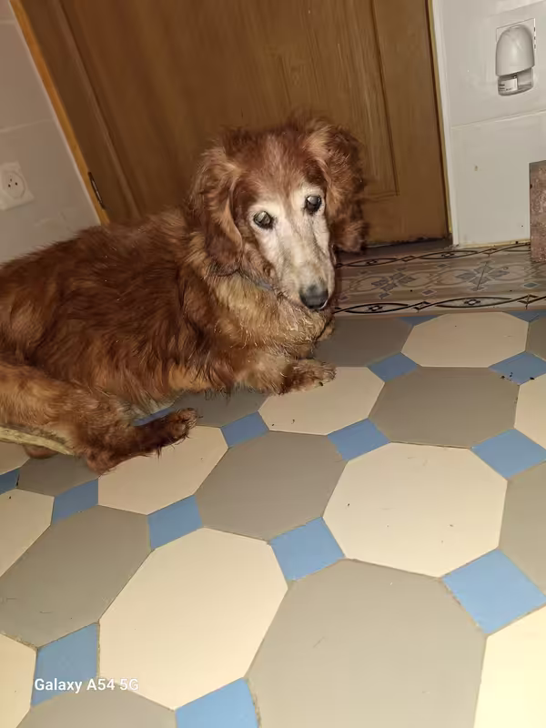 [Image: 20240829-202417.avif]