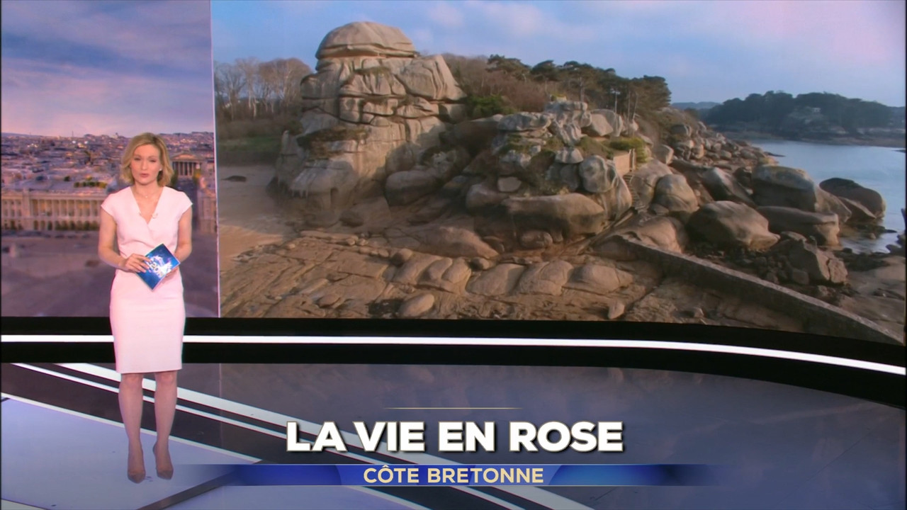 2021-04-24_20_00_TF1_Le-20h.mp4_snapshot_00.04.29.646