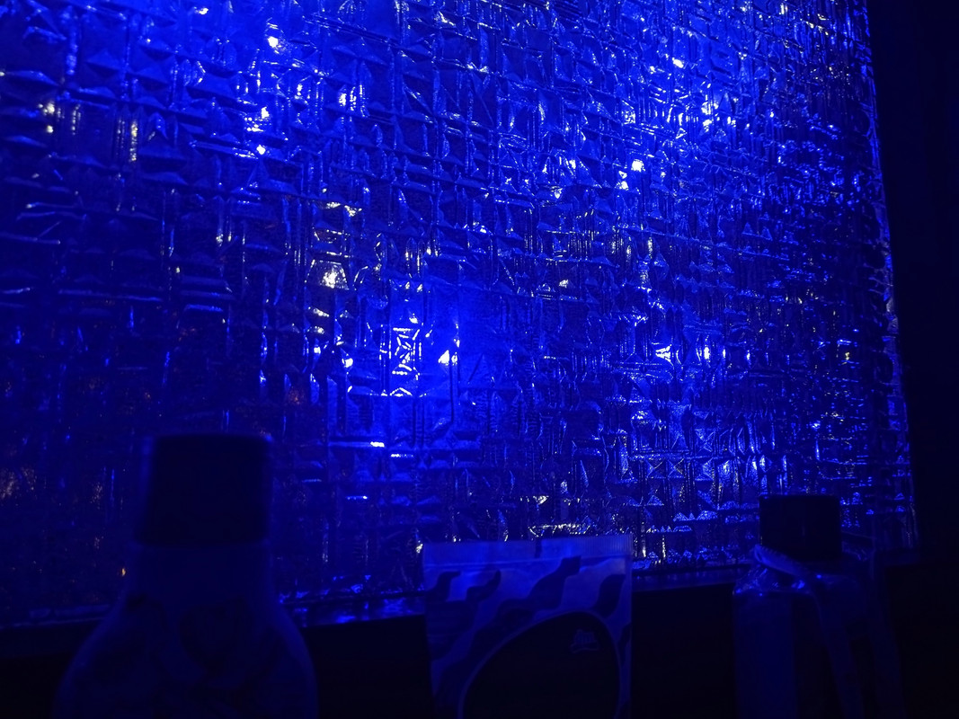 IMG_20211224_234511_tigr