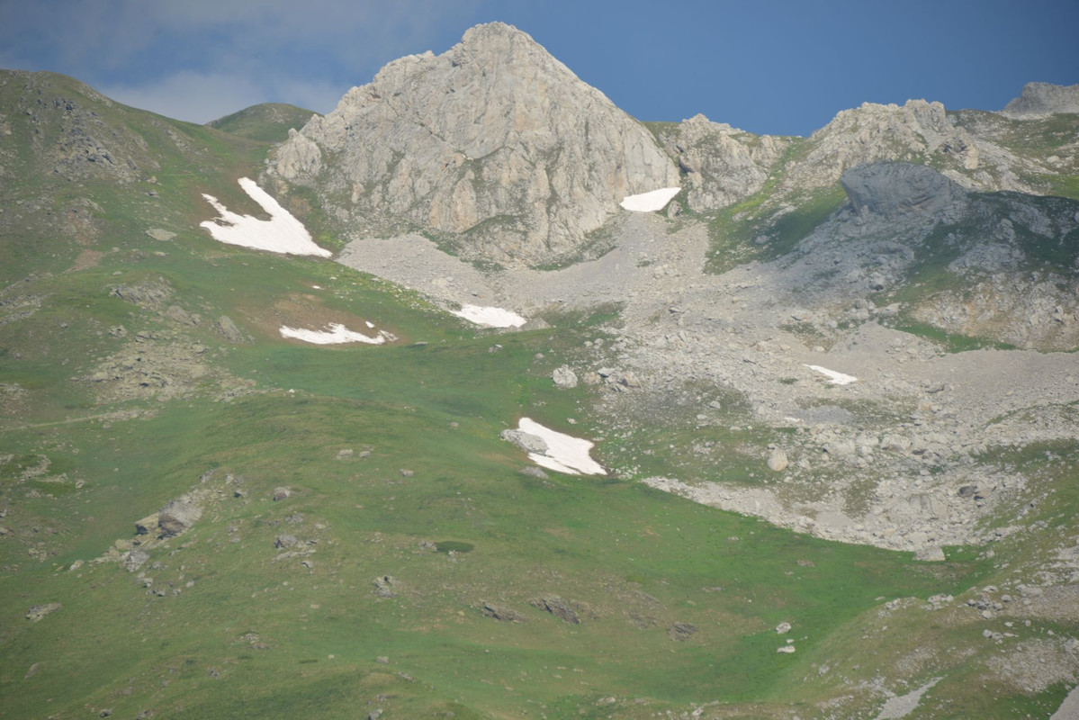 DSC-9445.jpg