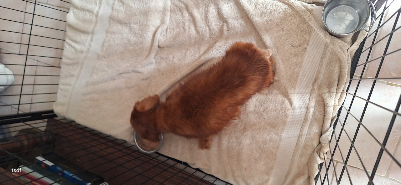 [Image: 20250315-121824.jpg]