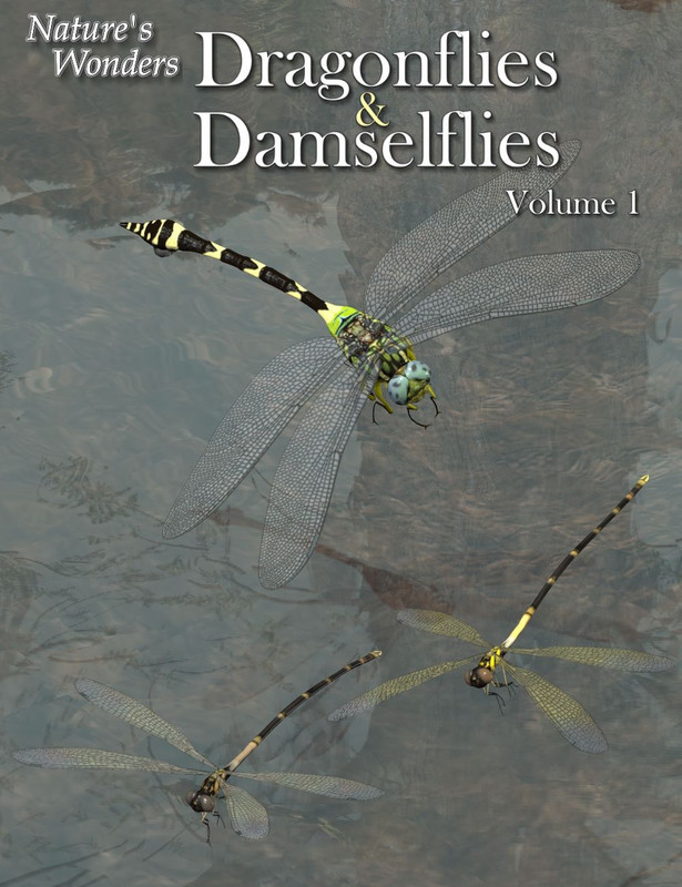 11757 nature s wonders dragonflies damselflies of the world vol