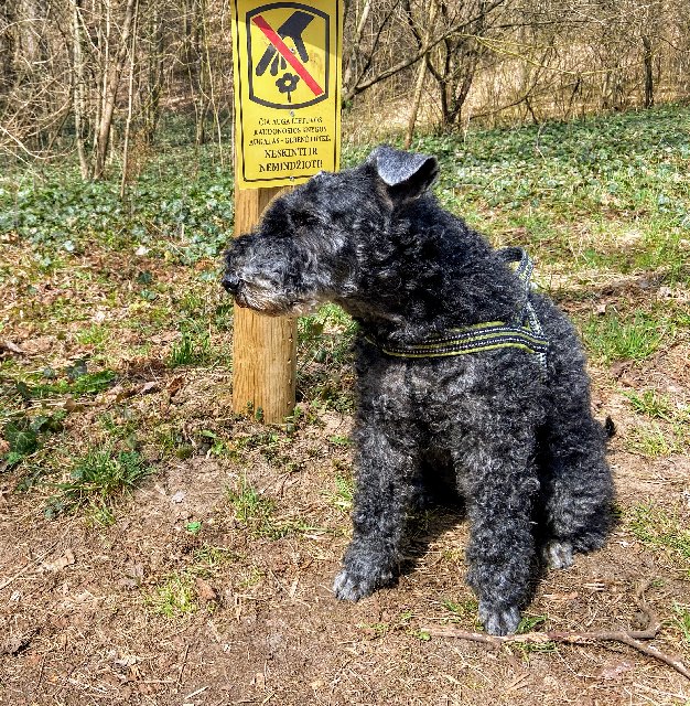 8-B04-C7-A0-0790-43-E3-8-A89-78-C3-E26-C