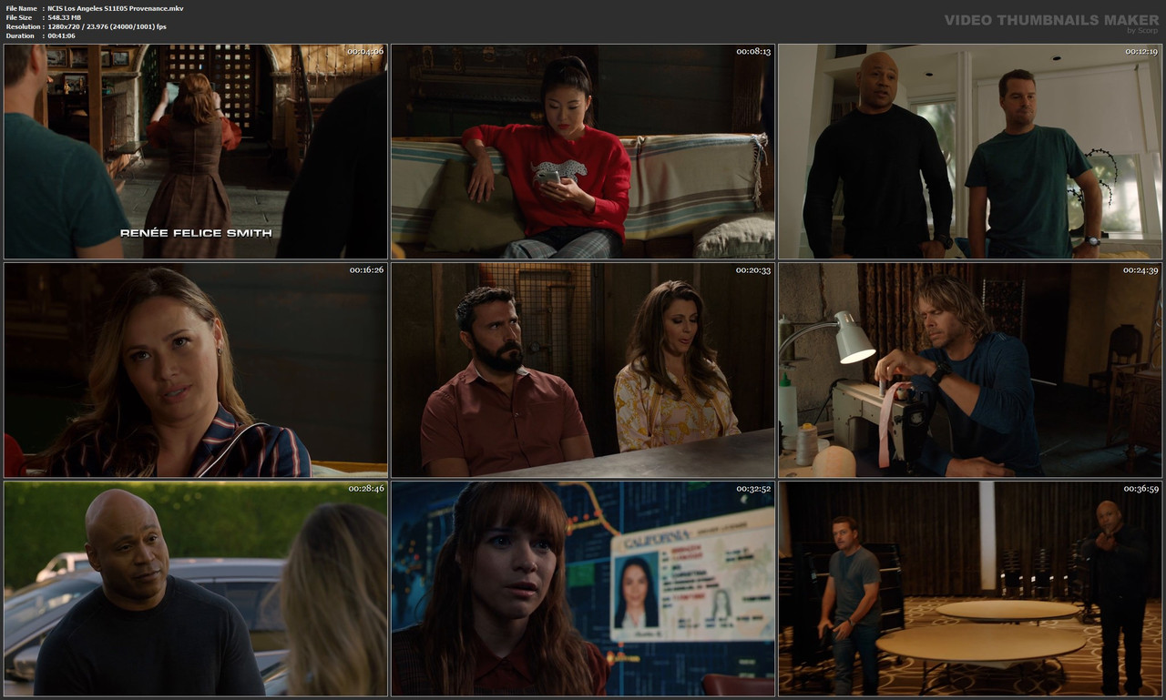 NCIS Los Angeles S11E05 Provenance.mkv