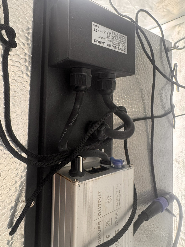 kabel 2