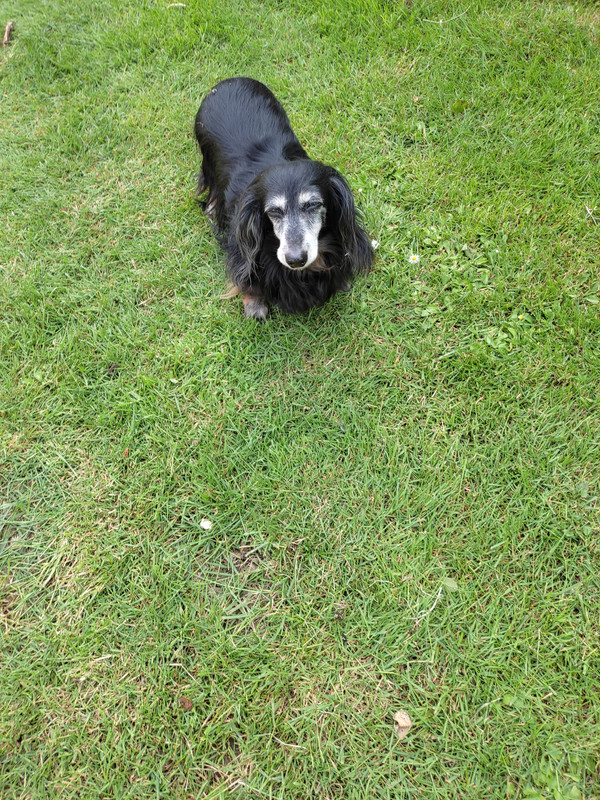 [Image: IMG-20230518-160952.jpg]