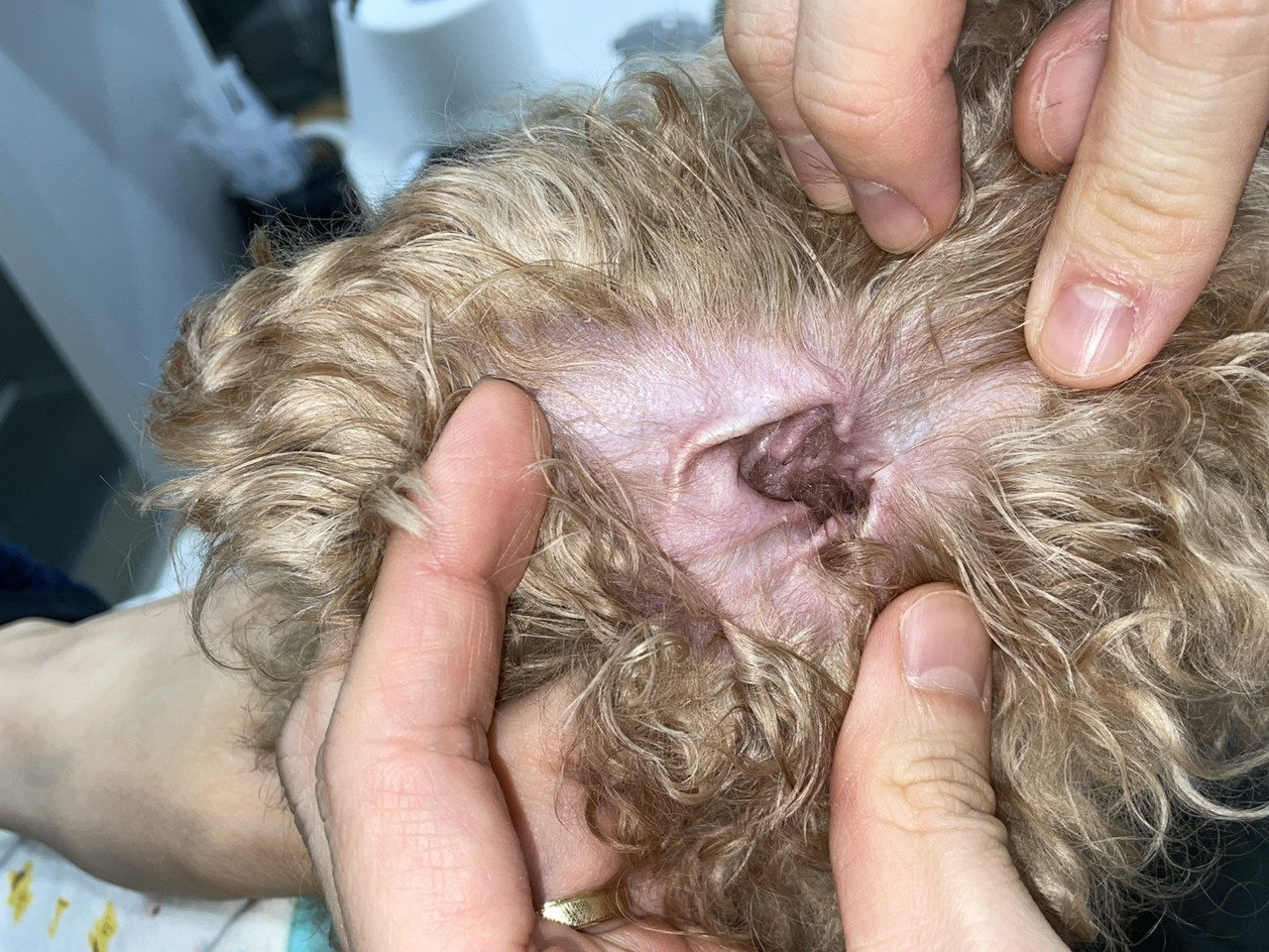 23207 177208 S 3473411 0