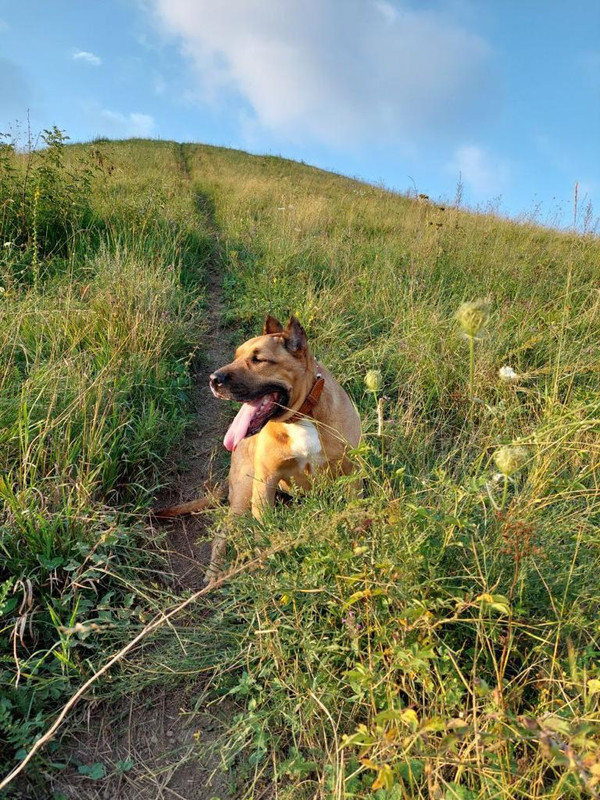 EC232953-7806-4B56-BF48-973C4A3B773B