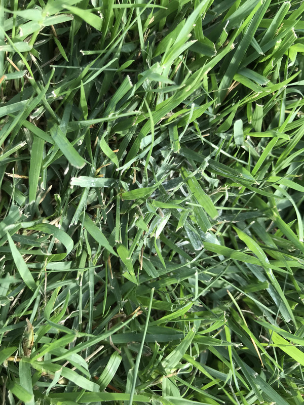 07373A9C-BC55-4DFF-A33C-C72C52B3C5A4