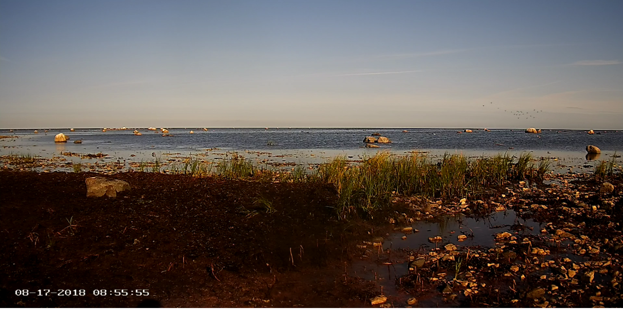 Képernyőkép – 2018-08-17 07-56-36