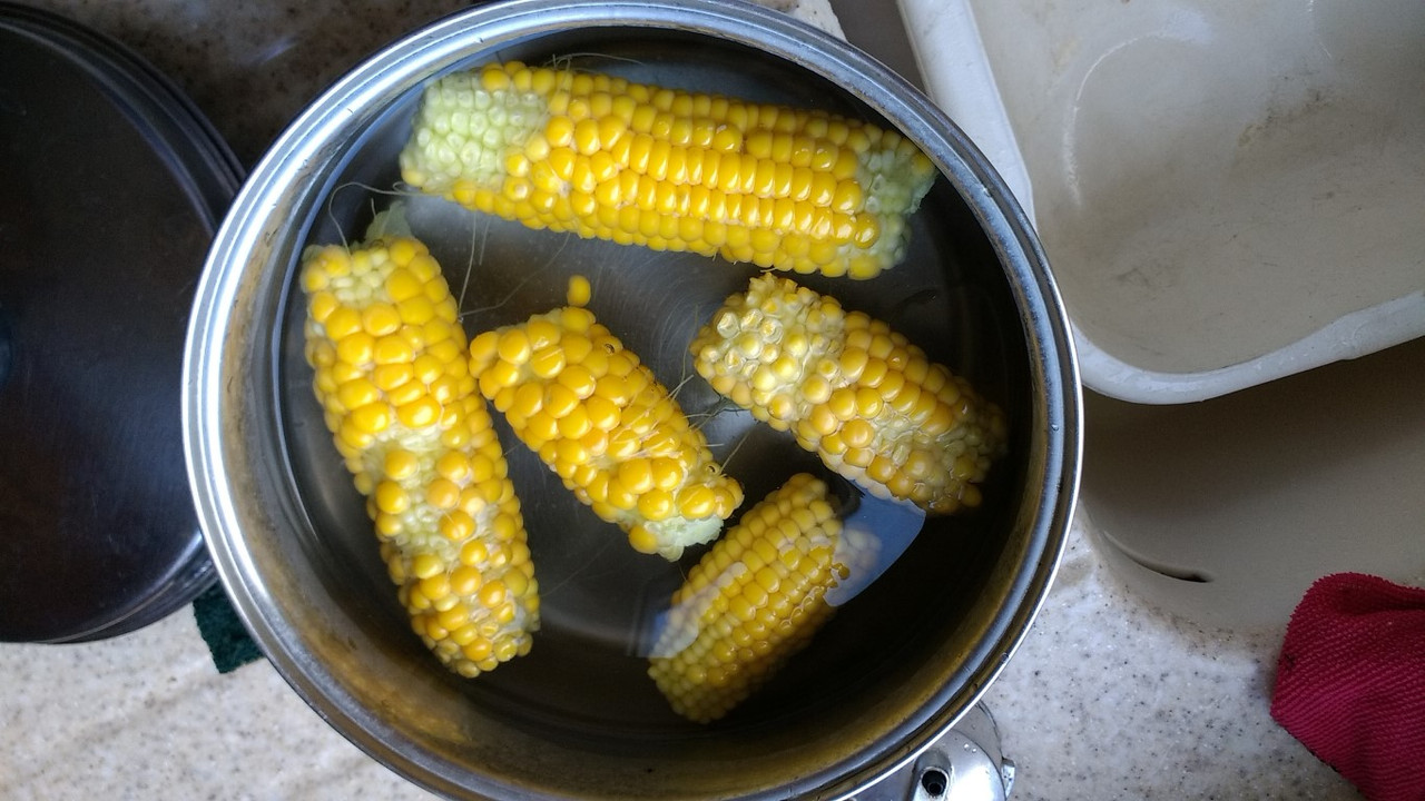 IMG_20170919_124857585 (Medium)