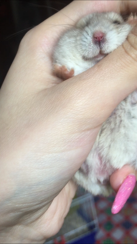 D3BCD3BB-FF3C-48CC-8112-37D53A8DD26F