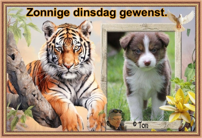 www.krabbelplaatjes.com
