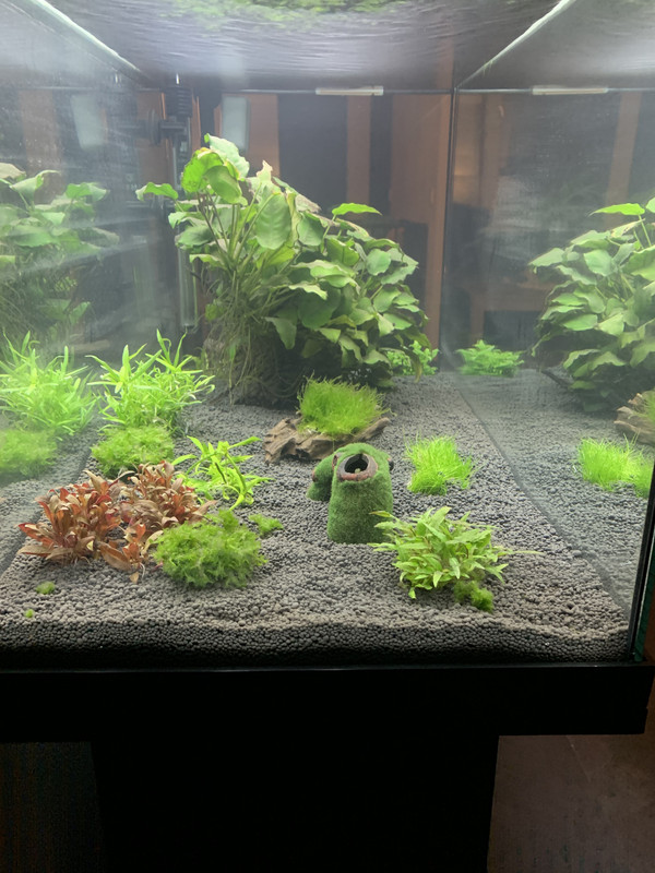 05BA2DBF-F542-4F2E-9206-8882D9597BD3