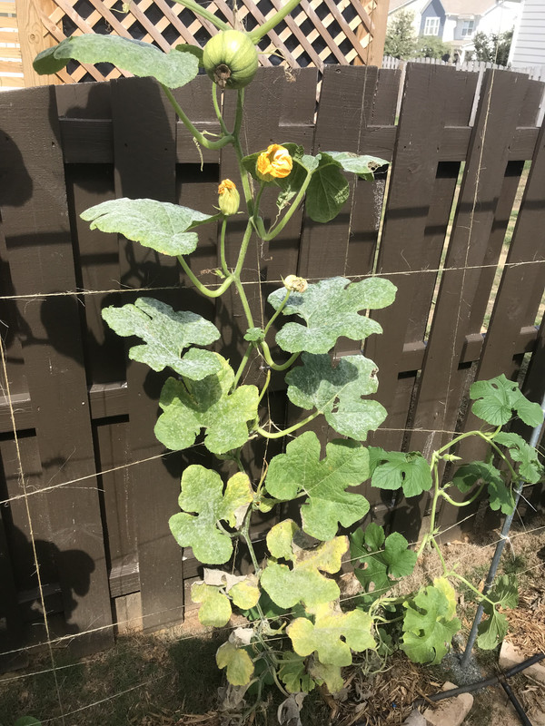 73A48D05-7247-4E23-853A-AAD97E360A75