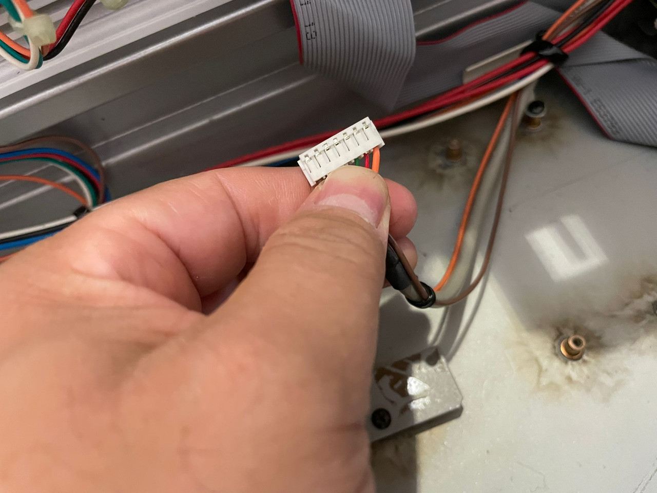 Whats App Image 2025 11 18 at 16 27 04 bce6b0fc