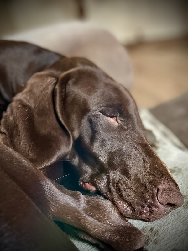 4C7744A0-F427-4A6B-9859-CFA0263C6437