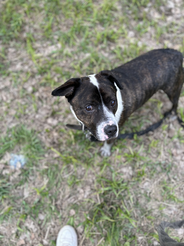 00D30BAD-7E22-4E01-97F2-08FE479145F4