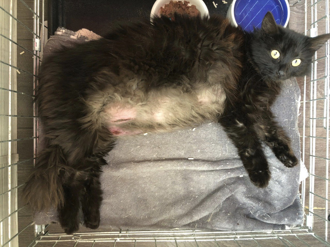 D8844E88-69D2-4CF0-A6C2-710FE26FBF9C