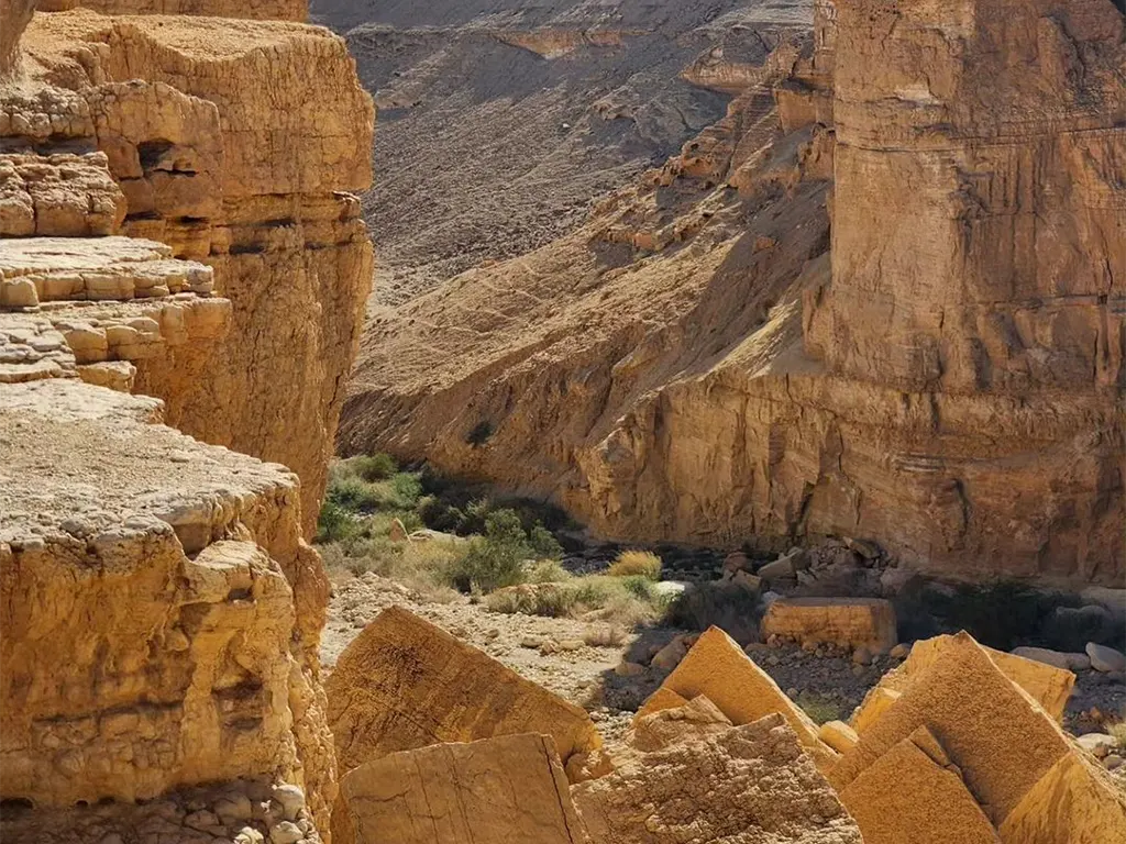 Judean-Desert-01