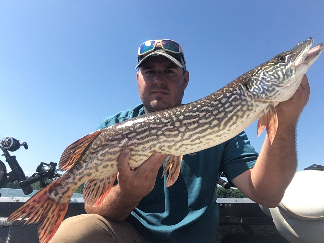 022DA6F3-1756-444F-8CF9-A2326FA35DA3