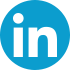 LinkedIn icon