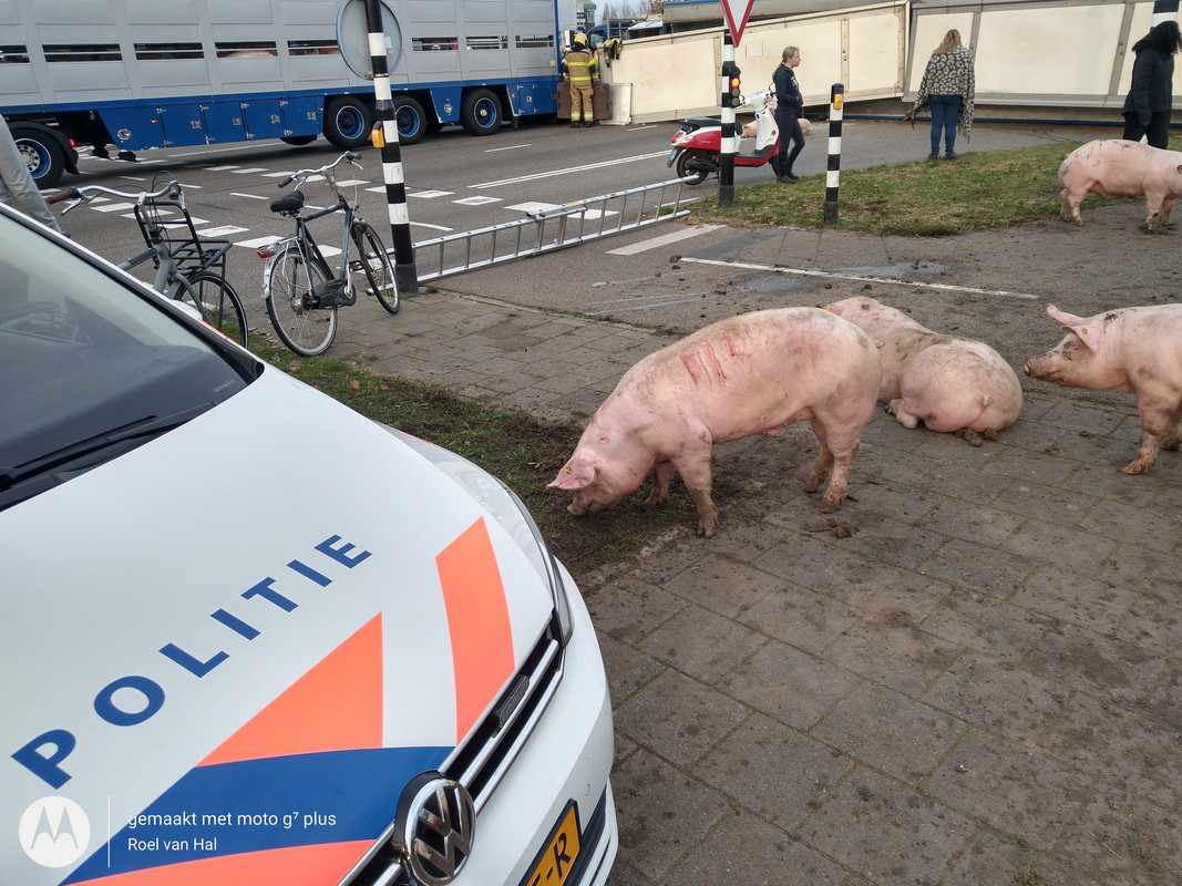 IMG_20201125_145321445_HDR