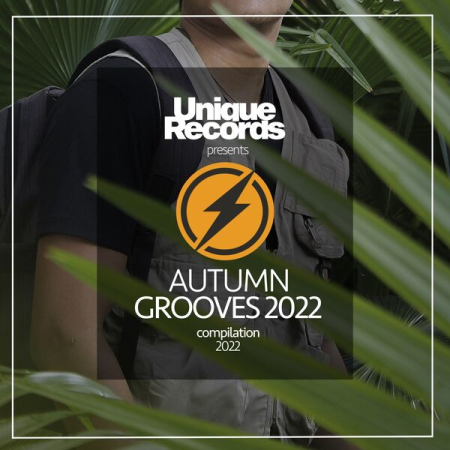 70ac9ffa 5fac 4c3e 9377 5b56354e523f - VA - Autumn Grooves 2022 (2022) mp3, flac