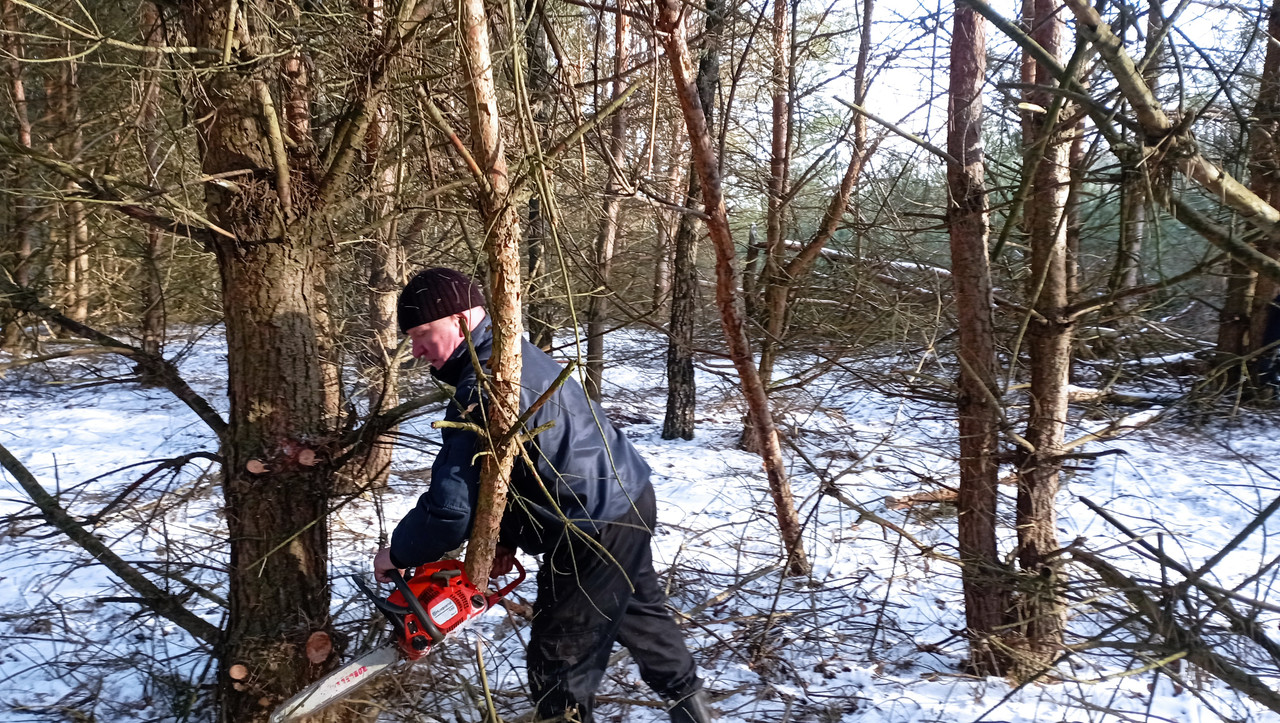 [Obrazek: IMG-20260105-114633.jpg]