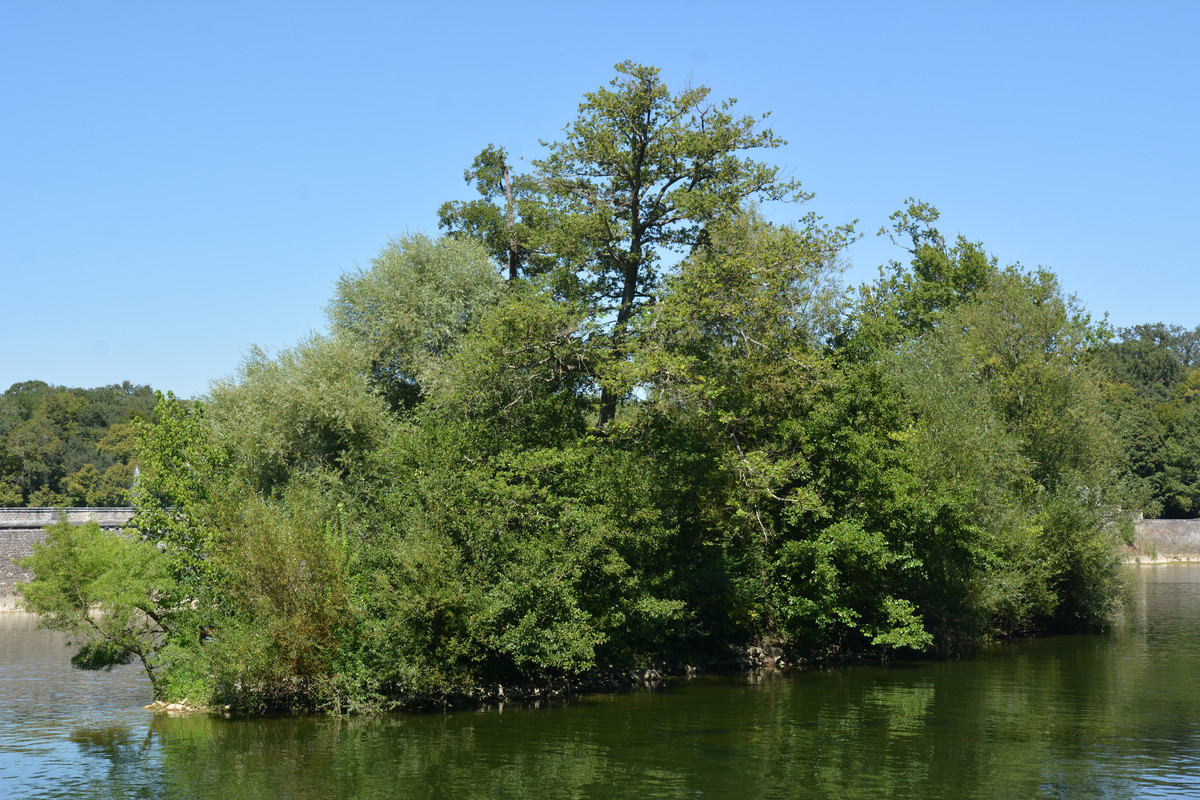 10.11bb - DSC_8557 (Ater)